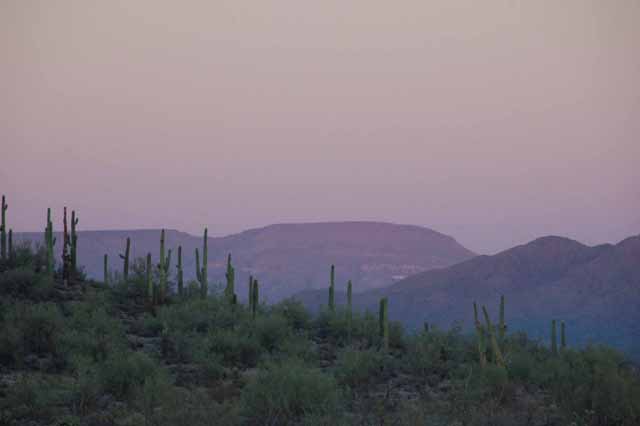 The Sonoran Desert